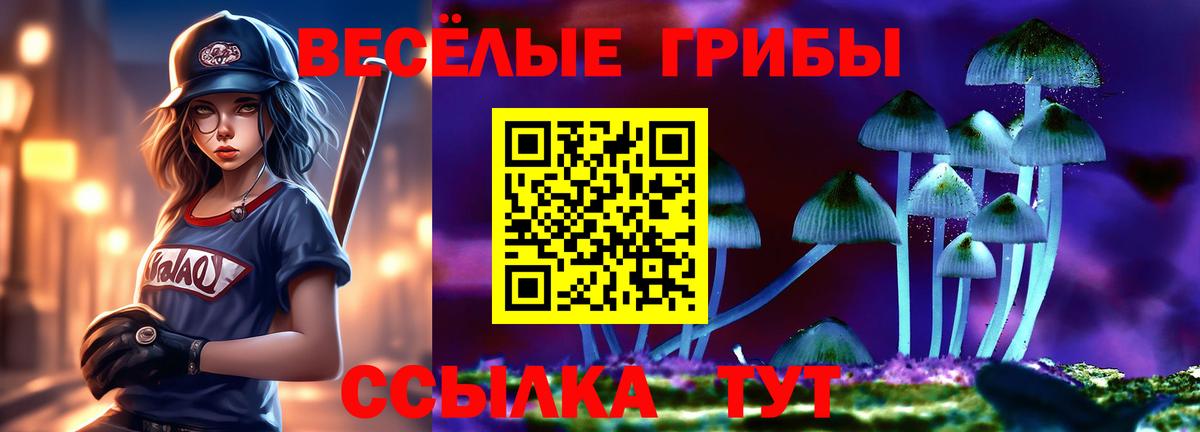 Жуковский  Псилоцибиновые грибы MAGIC MUSHROOMS  Вход с VPN  Галлюциногенные грибы мицелий 